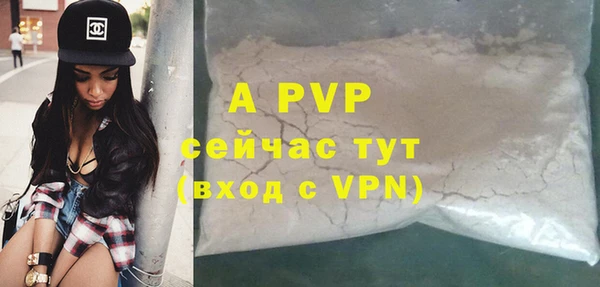 крисы Пересвет