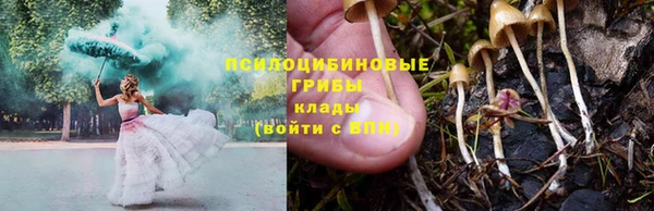 ГАЛЛЮЦИНОГЕННЫЕ ГРИБЫ Алексеевка