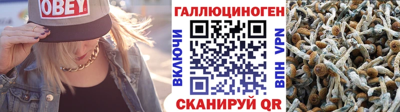 мега онион  Воткинск  Галлюциногенные грибы GOLDEN TEACHER  дарнет шоп 