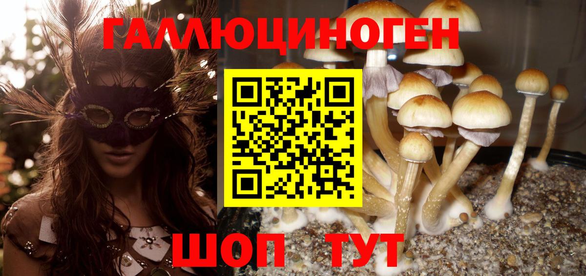 Галлюциногенные грибы ЛСД  Вход с VPN  Воткинск 